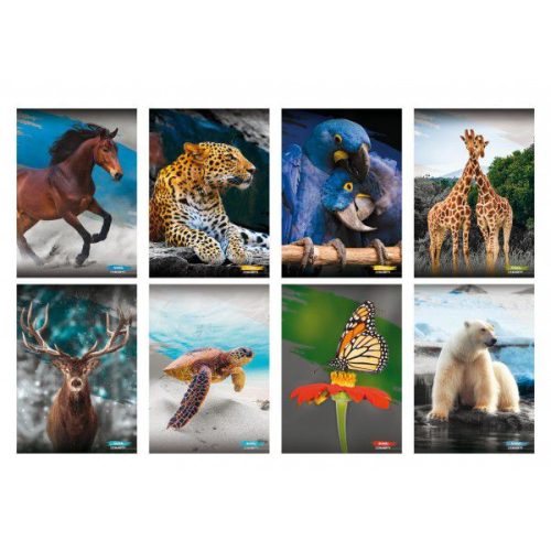 Füzet Blasetti A/4 80g 42lapos kockás Animal (10db/cs. )7925
