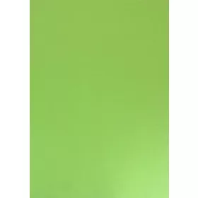 Színes karton kétoldalas A/4 200g 23 ALMAZÖLD (25ív/cs.)