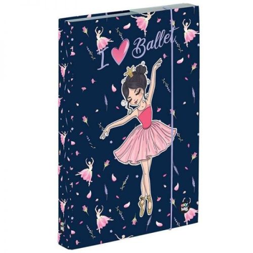 Füzetbox A/5 OxyBag Balerina 70923