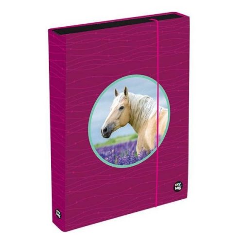 Füzetbox A/4 OxyBag Pink Horse 97624