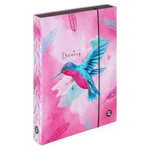 Füzetbox A/4 OxyBag Kolibri 76323