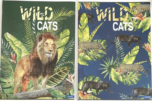 Füzet A/4 52 lapos 80g kockás Lastva Wild Cats 81705