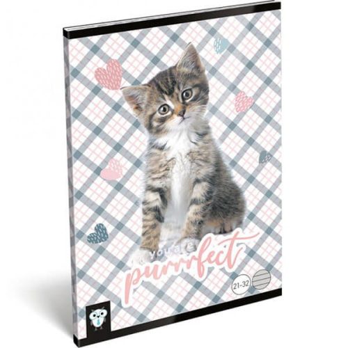 Füzet A5 32lap vonalas Lizzy Purrrfect 97925