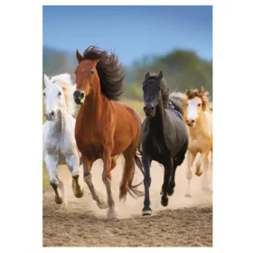 Gumismappa A/4 Pol-Mak Horses OG-760 10db/csomag