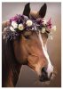 Gumismappa A/4 Pol-Mak Horses OG-760 10db/csomag