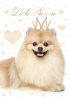 Gumismappa A/4 Pol-Mak Puppies OG-723 10db/csomag